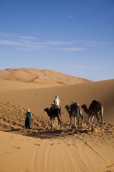 Sahara Desert, merzouga, colorful vibrant travel theme