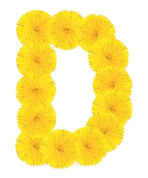 Letter D made from dandelion flowers isolated on white background