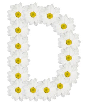 Letter D made from white flowers