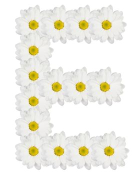 Letter E made from white flowers