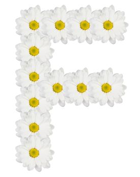 Letter F made from white flowers