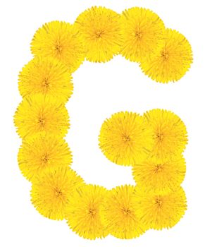 Letter G made from dandelion flowers isolated on white background
