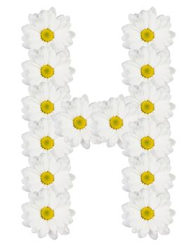 Letter H made from white flowers