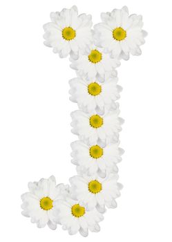 Letter J made from white flowers