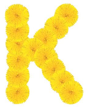 Letter K made from dandelion flowers isolated on white background