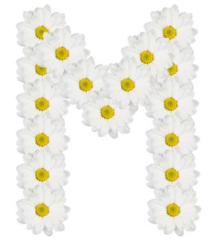 Letter M made from white flowers