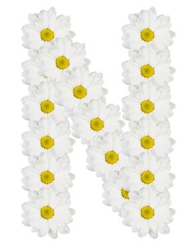 Letter N made from white flowers