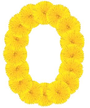 Letter O made from dandelion flowers isolated on white background