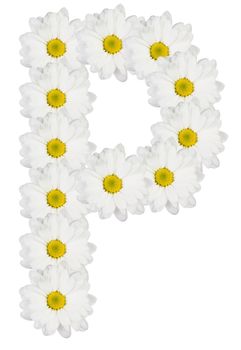 Letter P made from white flowers