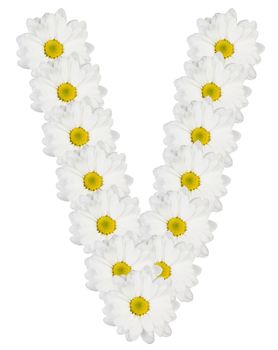 Letter V made from white flowers