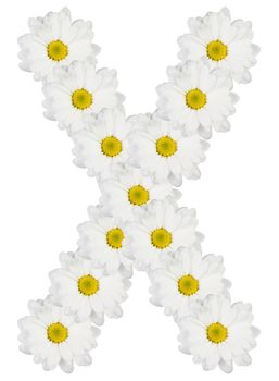 Letter X made from white flowers