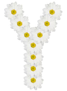 Letter Y made from white flowers