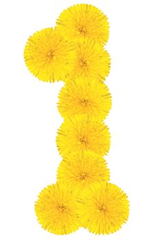 Number 1 made from dandelion flower isolated on white background