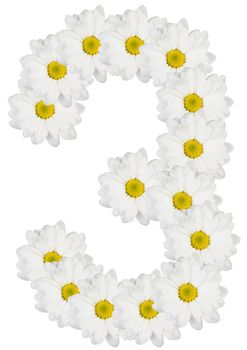 Number 3 made from white flowers