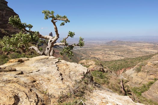 Landscape in Tigray province close to Adigrat, Ethiopia, Africa