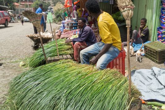 Addis Ababa: April 11: Freshly cut grass which used for decorating floors during the holidays available for sale at a local market during Easter eve on April 11, 2015 in Addis Ababa, Ethiopia