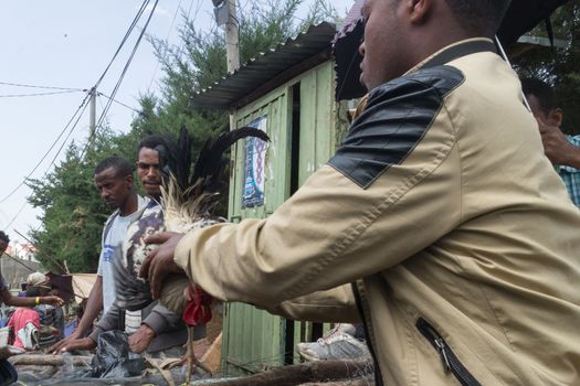 Addis Ababa: April 11: People bargain to buy roosters for the Easter Holidays at a local market on April 11, 2015 in Addis Ababa, Ethiopia