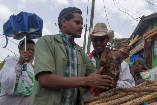 Addis Ababa: April 11: People bargain to buy roosters for the Easter Holidays at a local market on April 11, 2015 in Addis Ababa, Ethiopia