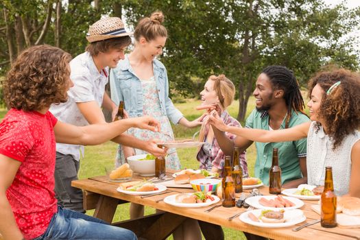 Happy friends in the park having lunch on a sunny day