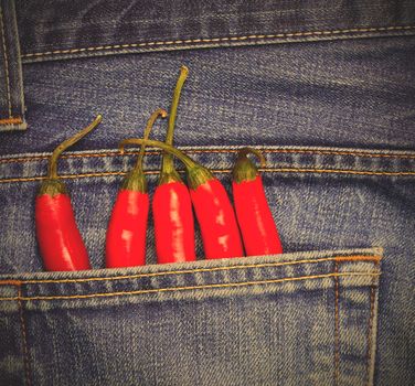 red hot chili peppers in a jeans pocket. instagram image style