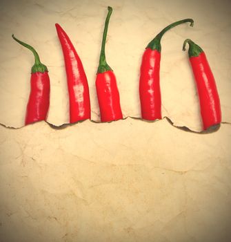 fiery red chili peppers under a sheet of paper with the scorched edge, instagram image style