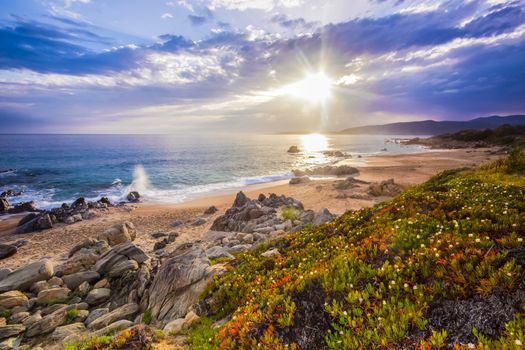 Beautiful colorful calm coastal landscape in spring on Corse, France, Europe.