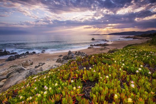 Beautiful colorful calm coastal landscape in spring on Corse, France, Europe.