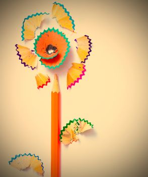 colored flower pencil on white background. instagram image retro style