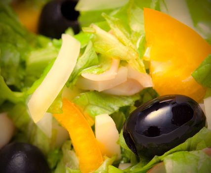 Assorted salad of green leaf lettuce with squid and black olives, close up. Instagram image retro style