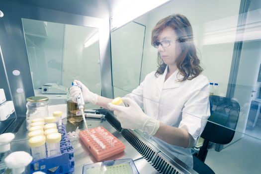 Female life scientist researching in laboratory, pipetting cell culture medium samples in laminar flow. Photo taken from laminar interior.