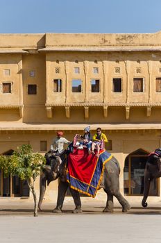 Jaipur, India - December 29, 2014: Decorated elephant carries tourists to Amber Fort in Jaipur on December 29, 2014 in Jaipur, Rajasthan, India.