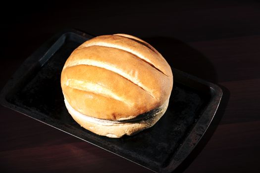 Round loaf of bread on a baking tray