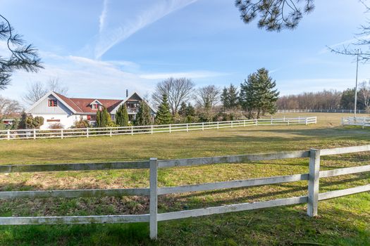 Traditional danish farm house and horse paddock in the sunshine