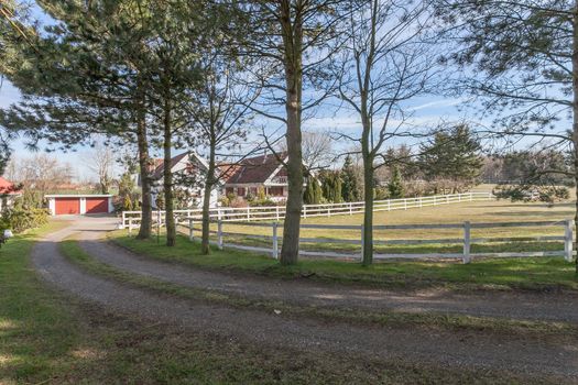 Traditional danish farm house and horse paddock in the sunshine