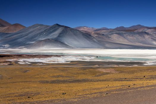 Alues Calientes high on the altiplano in the Atacama Desert in northern Chile. The white areas are deposits of salt.
