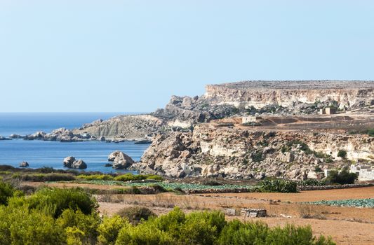 blue tropical ocean and big rocks with green plants in foreground on the spanish island Malta
