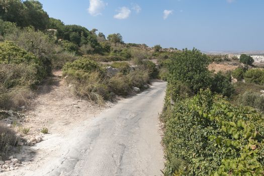 typical nature with dry lands and green lants on the spanish island Malta