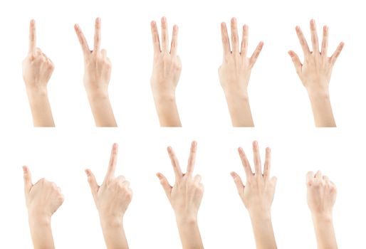 Set female hands gestures making a numbers from 0 to 9 shape isolated on white background, clipping path