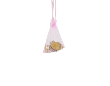 Coins in bag isolated on the white background