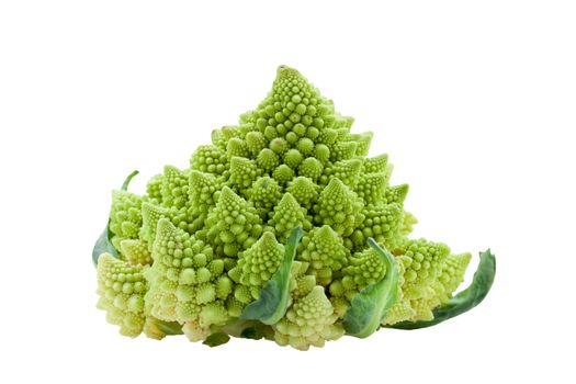 Ripe raw vegetable romanesco broccoli or cauliflower cabbage isolated