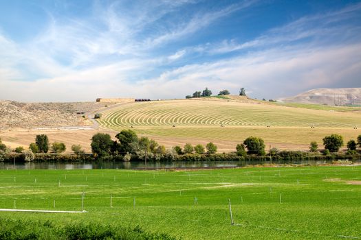 Farmland with one field being watered by center pivot irrigation in the background versus a second green field with sprinkler irrigation in the foreground in a scenic rural landscap