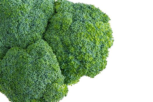 Isolated head of farm fresh broccoli with young unopened buds or florets for a healthy cooking ingredient over an off white colored background viewed from above