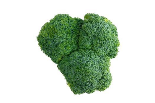 Head of farm fresh healthy green broccoli, a brassica of the cabbage family, viewed form above isolated on white