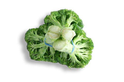 Bunch of fresh broccoli viewed from below showing the structure of the branches and edible stalks over a white background