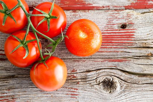 Fresh ripe red juicy tomatoes on the vine lying on a wooden shelf with rustic peeling red paint at a farmers market selling fresh organic produce