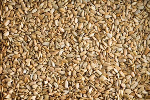 Healthy fresh roasted hulled sunflower seeds for a tasty snack, garnish and salad ingredient, background texture viewed from above