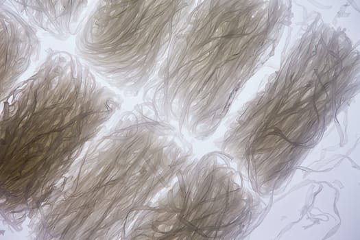 Overhead view of coils of transparent dried mung bean thick vermicelli noodles, also known as cellophane or glass noodles, rich in starch dietary fiber and vitamins