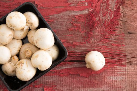 Punnet of fresh white button mushrooms, Agraicus bisporus, a popular cultivated culinary fungus, viewed overhead on a rustic peeling wooden shelf at a farm market