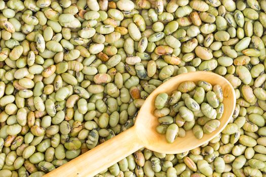 Background food texture of dried edamame, or green soya beans, with a wooden spoon placed diagonally on the surface, full frame from above