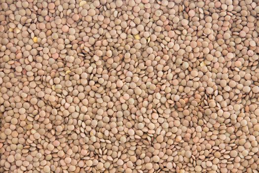 Food and cookery background of healthy dried brown lentils, Lens culinaris, a nutritious legume and pulse rich in vitamin B1 and folic acid